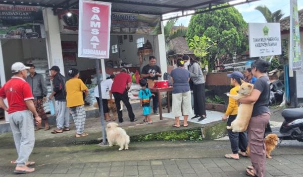 vaksinasi anjing dan kucing di padangan