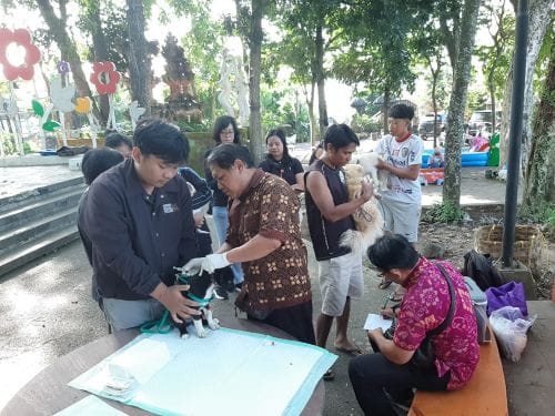 Petugas melakukan vaksinasi anjing milik warga