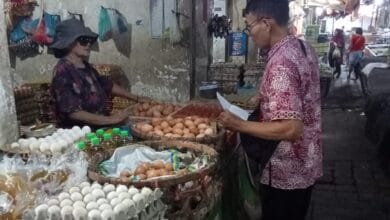 Petugas dari Dinas Ketahana pangan memantau harga-harga komoditas di pasar