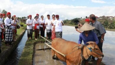 Pembangunan daerah dimulai dari desa