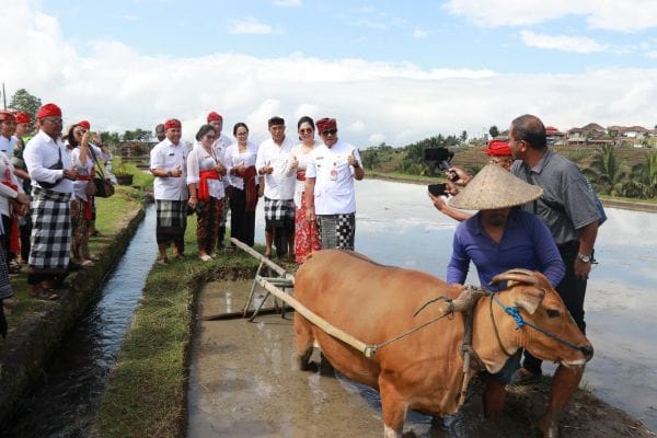 Pembangunan daerah dimulai dari desa