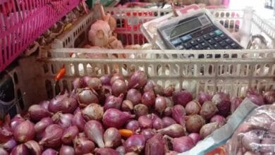 Pantauan Diskepa Tabanan, sebagian besar harga kebutuhan pokok masih relatif stabil