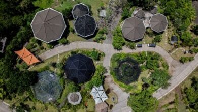 Magic Garden, fasilitas edutainment botani seluas 3.600m2 dalam Nuanu Creative City (ist)