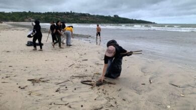 Aksi bersih-bersih sampah kiriman di sepanjang Pantai Muaya, Jimbaran