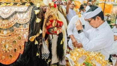 Bupati Wayan Adi Arnawa saat menghadiri prosesi sakral Karya Ngerehan Ida Bhatara Ratu Bagus Kahyangan Jagat di Pura Dalem Sakenan Munggu, Kecamatan Mengwi