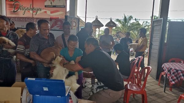 Vaksinasi anjing di Desa Munduk Temu, Pupuan