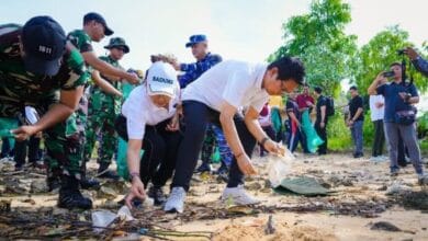 Pemkab Badung berkomitmen jaga kebersihan pesisir pantai di wilayah Kabupaten Badung dengan pembersihan secara rutin di sepanjang garis pantai