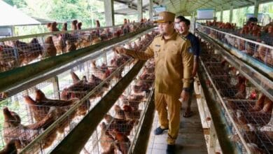 Wabup Bagus Alit Sucipta saat melakukan pemantauan ke sejumlah sentra produksi dan pengolahan pangan utama serta strategis di Kabupaten Badung
