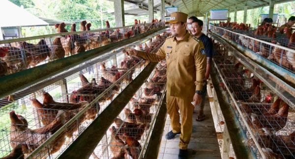 Wabup Bagus Alit Sucipta saat melakukan pemantauan ke sejumlah sentra produksi dan pengolahan pangan utama serta strategis di Kabupaten Badung