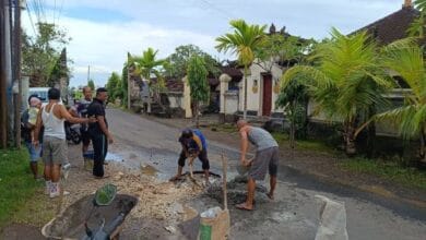 Warga Banjar Kebon Nyitdah, tabanan secara swadaya memperbaiki jalan berlubang dengan pembetonan