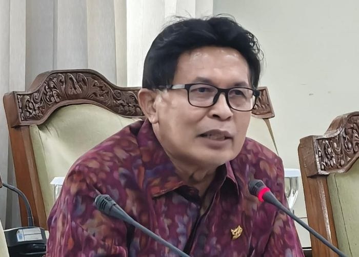 Ketua Fraksi PDIP DPRD Bali I Made Supartha