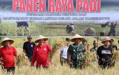 Wabup I Made Dirga melakukan panen raya di subak Lanyah delod Jalan, Desa Tangguntiti, Seltim