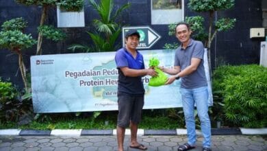 PT Pegadaian Kanwil VII Bali Nusra Salurkan 89 Hewan Kurban