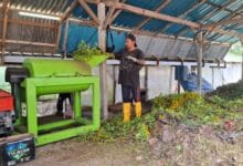 Sampah DTW Ulun Danu Beratan dan The Blooms Garden diolah secara mandiri menjadi kompos untuk pupuk taman