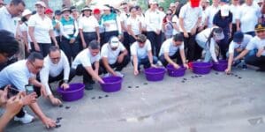 Ketua DPRD Badung ikut lepas tukik di Pantai Kuta