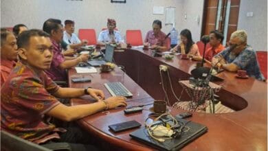 Rapat Koordinasi Percepatan Implementasi Perlinsos yang dilaksanakan secara daring