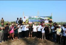 Bupati Adi Arnawa saat acara Gerakan Tanam Padi metode Pertanian Modern Advanced Agriculture System (PMAAS) di Subak Tanah Yeng, Desa Sedang, Kecamatan Abiansemal
