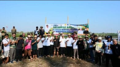Bupati Adi Arnawa saat acara Gerakan Tanam Padi metode Pertanian Modern Advanced Agriculture System (PMAAS) di Subak Tanah Yeng, Desa Sedang, Kecamatan Abiansemal