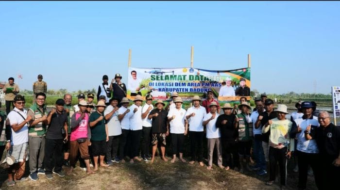 Bupati Adi Arnawa saat acara Gerakan Tanam Padi metode Pertanian Modern Advanced Agriculture System (PMAAS) di Subak Tanah Yeng, Desa Sedang, Kecamatan Abiansemal