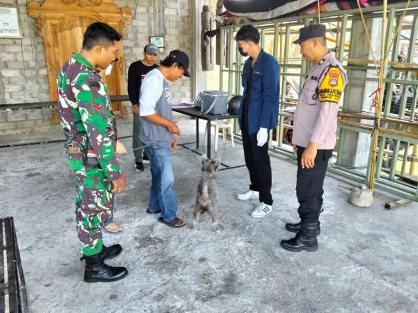 Vaksinasi rabies secara serentak di sejumlah banjar di Desa Penarukan, Kecamatan Kerambitan